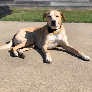 Meet your Posher, Christy